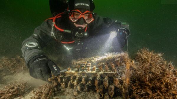 Photos: Divers in Baltic Sea Discover Rare WWII Nazi Enigma Machine - Sputnik International