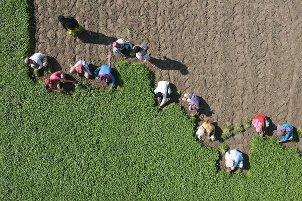 This Week in Pictures: 28 November - 4 December - Sputnik International