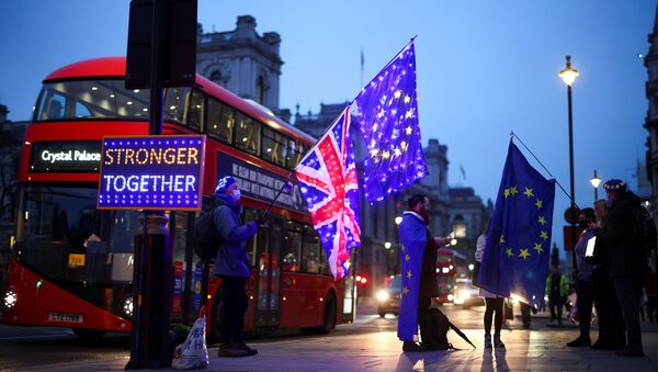 Anti-Brexit protesters demonstrate outside the Houses of Parliament in London, Britain December 9, 2020 - Sputnik International