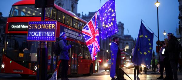 Anti-Brexit protesters demonstrate outside the Houses of Parliament in London, Britain December 9, 2020 - Sputnik International
