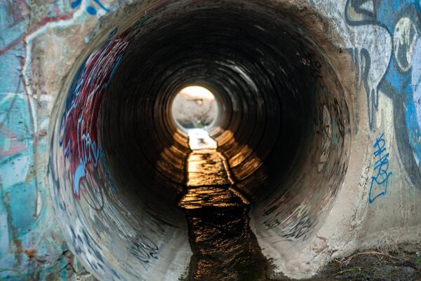 Generating Electricity from Wastewater: Russian Chemists Put Microbes to Work - Sputnik International