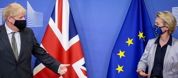 EU Commission President von der Leyen meets British PM Johnson in Brussels - Sputnik International