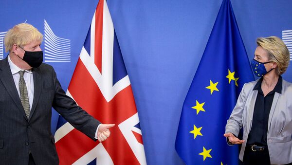 EU Commission President von der Leyen meets British PM Johnson in Brussels - Sputnik International