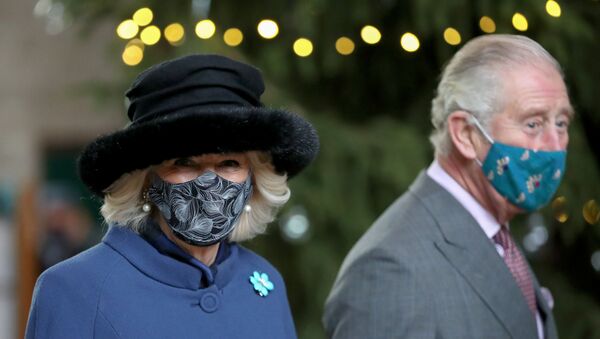 Britain's Prince Charles and Camilla, Duchess of Cornwall, visit Salisbury Cathedral - Sputnik International