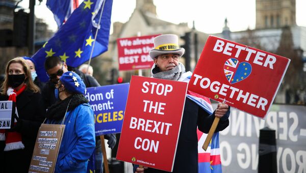  Steve Bray and others anti-Brexit protesters demonstrate outside the Houses of Parliament in London, Britain December 9, 2020 - Sputnik International