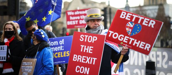  Steve Bray and others anti-Brexit protesters demonstrate outside the Houses of Parliament in London, Britain December 9, 2020 - Sputnik International