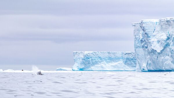 MS World Explorer at Iceberg A-68a - Sputnik International
