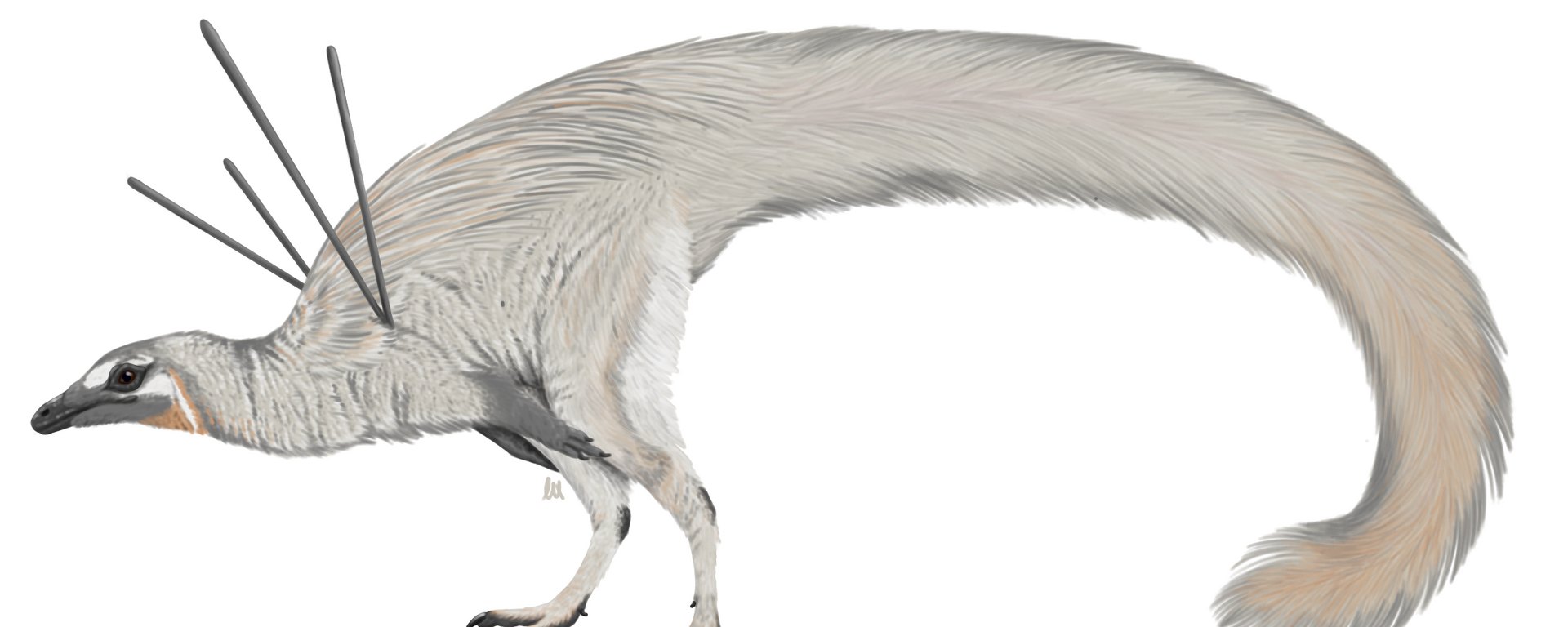 A life reconstruction of Ubiraja jubatus depicted by an artist - Sputnik International, 1920, 16.12.2020