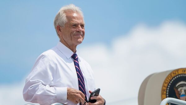 White House economic advisor Peter Navarro looks out from the steps of Air Force One as he waits to depart with U.S. President Donald Trump for travel to Ohio and New Jersey at Joint Base Andrews, Maryland, U.S., August 6, 2020 - Sputnik International