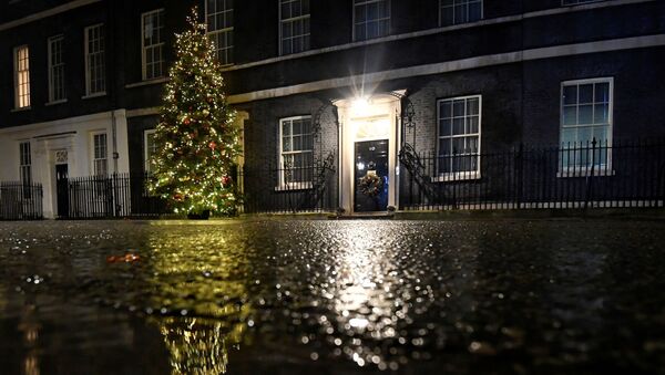 A view of 10 Downing Street in London, Britain, December 19, 2020. REUTERS/Toby Melville - Sputnik International