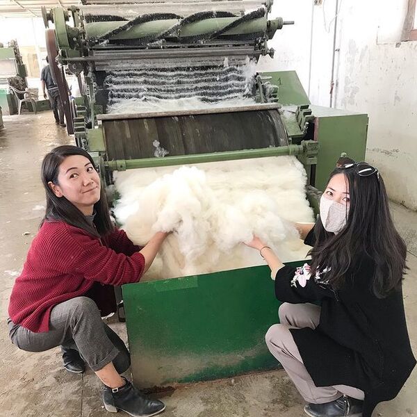 Youth of Ladakh Take Pashmina Into Their Own Hands to Remove the Kashmiri Tag - Photos - Sputnik International