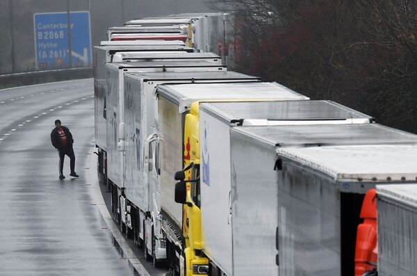 Tonnes of Meat From UK Rotting on EU Border Due to Brexit Red Tape Tonnes of Meat From UK Rotting on EU Border Due to Brexit Red Tape - Sputnik International