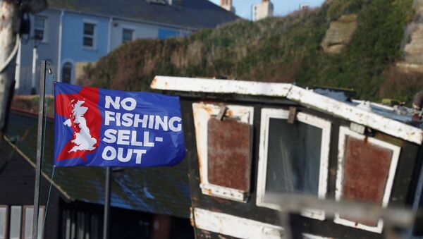 A flag with a slogan supporting the UK fishing industry is seen on the beach in Hastings, Britain, 20 December 2020.  - Sputnik International