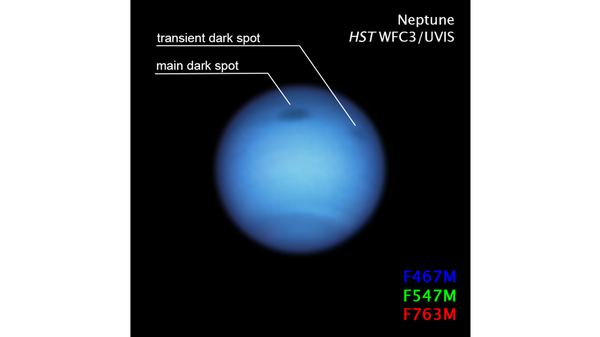 Photo: Hubble Telescope Tracks Neptune's Peculiar ‘Dark Spot Jr.’ as Larger Storm Puzzles Scientists - Sputnik International