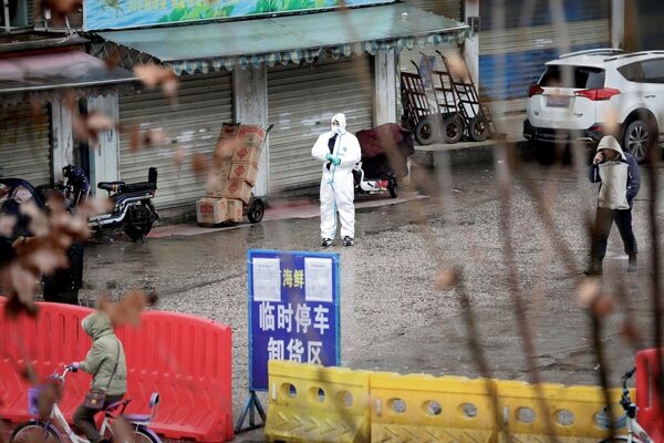 'Batwoman' Scientist From Wuhan Lab Would ‘Welcome Visit’ of WHO Experts Amid COVID Conspiracies 'Batwoman' Scientist From Wuhan Lab Would ‘Welcome Visit’ of WHO Experts Amid COVID Conspiracies - Sputnik International
