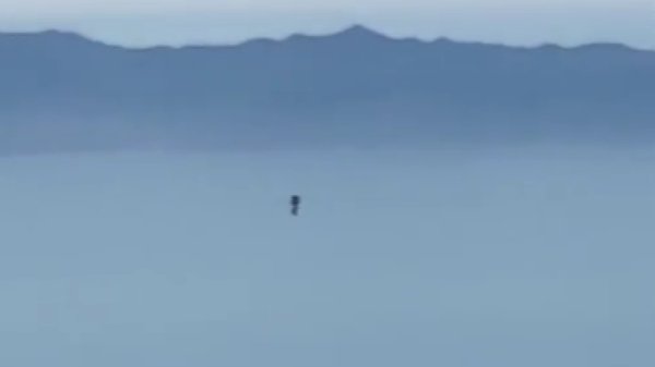 Still image from a video posted to Instagram purporting to capture Los Angeles' Jetpack Man on film off the coast of the Catalina Islands - Sputnik International