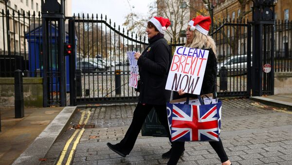 Pro-Brexit supporters carry placards as they walk in Westminster, London, Britain December 9, 2020 - Sputnik International