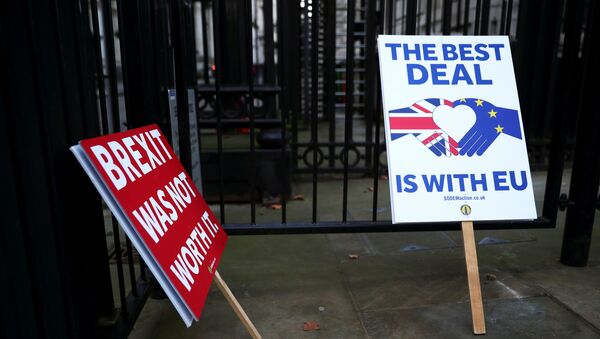 Anti-Brexit signs are pictured at the gates of Downing Street in London, Britain December 24, 2020 - Sputnik International