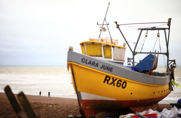 Tariffs, Fisheries & Freedom of Movement: A Quick Look at Full Text of Brexit Trade Deal Tariffs, Fisheries & Freedom of Movement: A Quick Look at Full Text of Brexit Trade Deal - Sputnik International