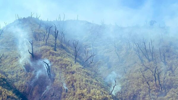 Massive fire in Dzukou Valley on the Manipur-Nagaland border. - Sputnik International