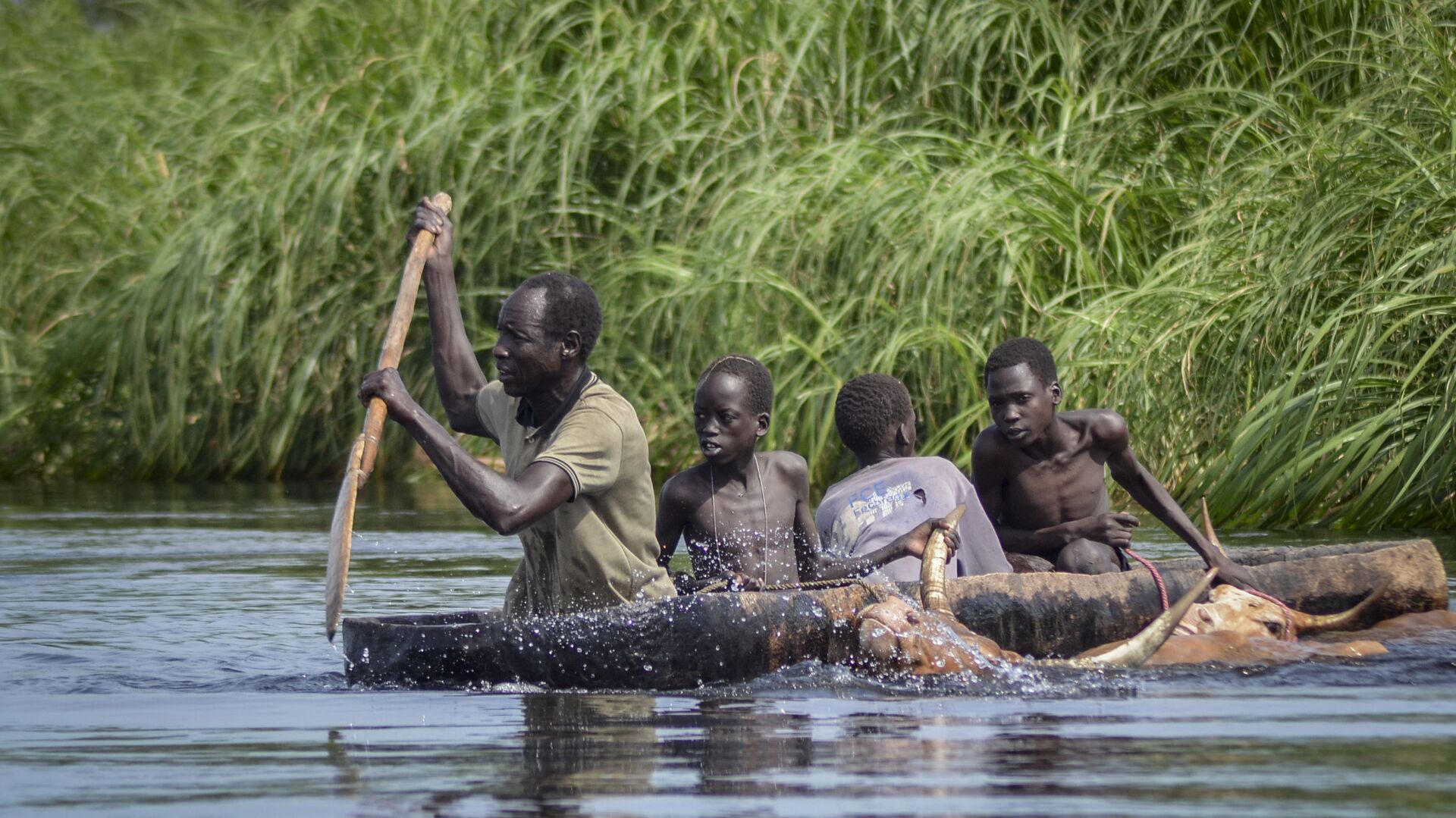 A father and his sons transport cows from a flooded area to drier ground using a dugout canoe, in Old Fangak county, Jonglei state, South Sudan Wednesday, Nov. 25, 2020.  - Sputnik International, 1920, 23.10.2021