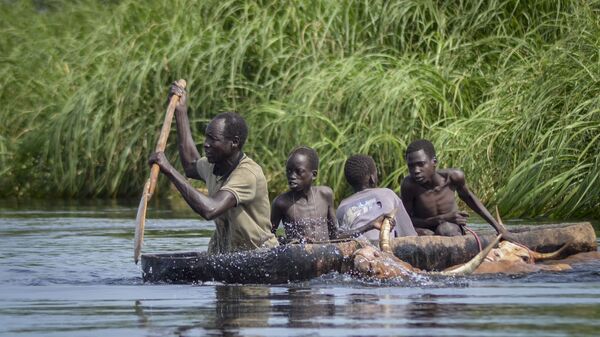 A father and his sons transport cows from a flooded area to drier ground using a dugout canoe, in Old Fangak county, Jonglei state, South Sudan Wednesday, Nov. 25, 2020.  - Sputnik International