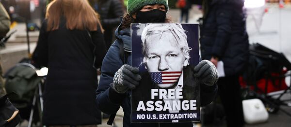 A supporter of WikiLeaks founder Julian Assange holds a placard, at the Old Bailey, the Central Criminal Court, in London, Britain, January 4, 2021. REUTERS/Henry Nicholls - Sputnik International