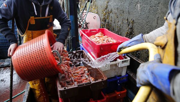 In this picture taken 3 September 2019, fisherman and crewman Alan Ferguson, right, unloads crates of freshly caught langoustines in the port of Eyemouth, on the south coast of Edinburgh, Scotland. In their drive to uncouple Britain from the European Union, pro-Brexit campaigners have made fishing one of their battlegrounds - Sputnik International