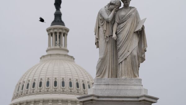 Birds fly around the Peace Monument, Friday, Jan. 8, 2021, on Capitol Hill in Washington. - Sputnik International