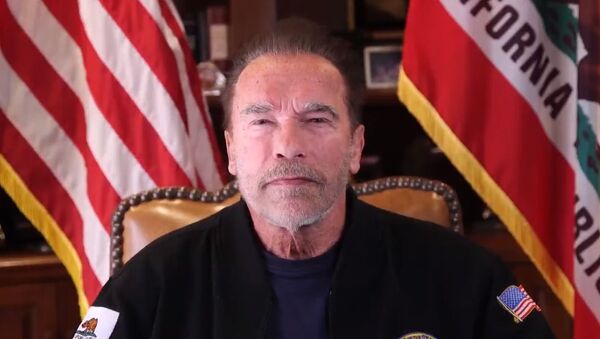 Arnold Schwarzenegger speaking on US Capitol siege on January 10, 2020 - Sputnik International