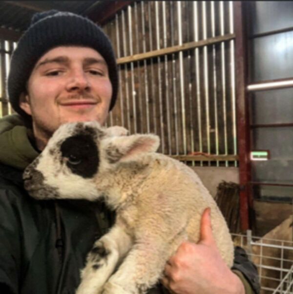 How are Things Panning Out for UK & EU Agri-Food Producers After Brexit? How are Things Panning Out for UK & EU Agri-Food Producers After Brexit? - Sputnik International