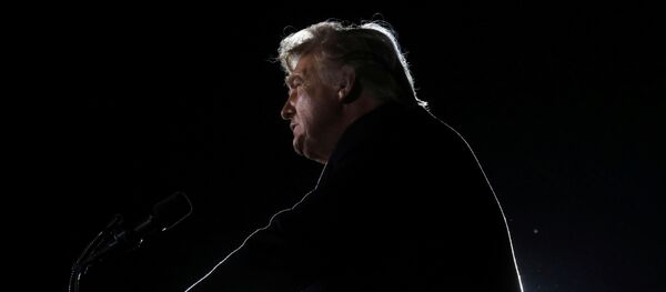 U.S. President Donald Trump addresses a campaign rally in Dalton, Georgia, U.S., on the eve of the run-off election to decide both of Georgia's Senate seats January 4, 2021 - Sputnik International