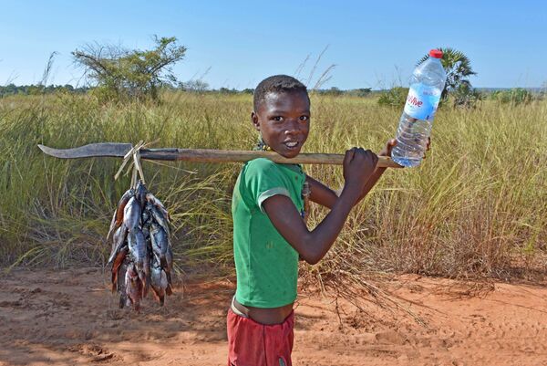 Madagascar: Why Giant Island Run by Former DJ May Have a Future as French Data Processing Hub - Sputnik International