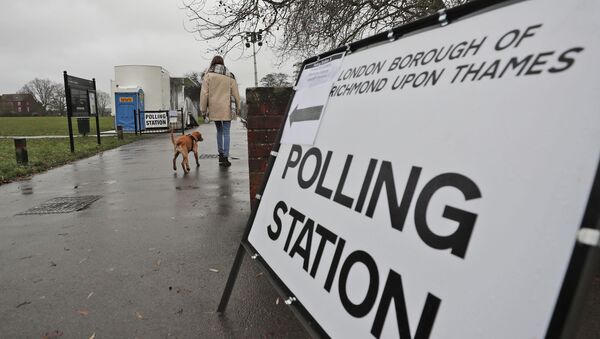 A voter with her dog arrives at a polling station in Twickenham, England (File) - Sputnik International