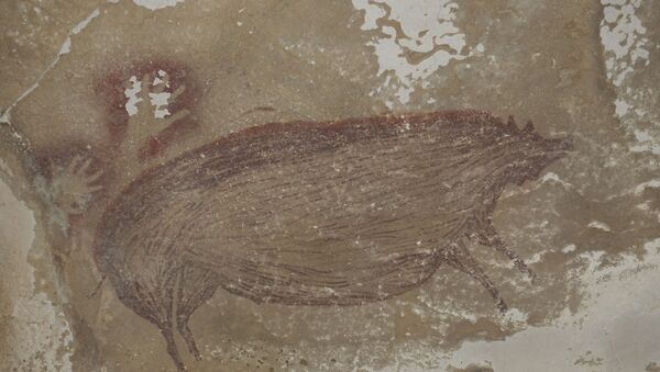 This undated handout photo shows a dated pig painting at Leang Tedongnge in Sulawesi, Indonesia - Sputnik International