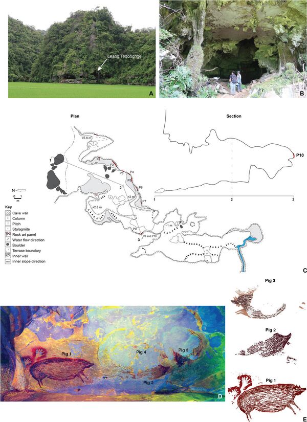 Photo: The World's Oldest Known Cave Art Discovered In Indonesia Photo: The World's Oldest Known Cave Art Discovered In Indonesia - Sputnik International