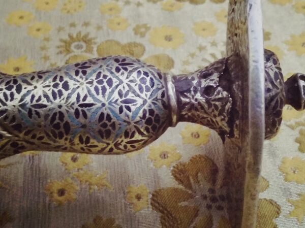 100-Year-Old Indian Princess' Wish to Save Her Palaces Comes True as Gov't Buys It for Tourism - Sputnik International