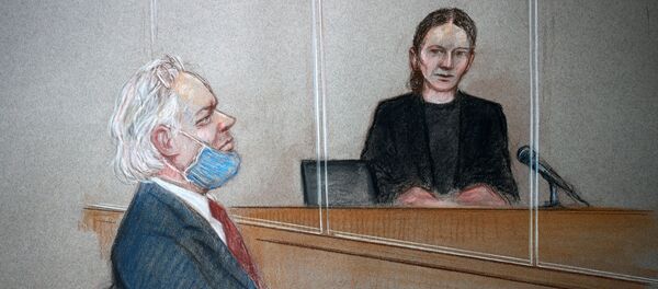 WikiLeaks founder Julian Assange is seen during a hearing at the Westminster Magistrates Court in London, Britain, 6 January 2021, in this courtroom sketch WikiLeaks founder Julian Assange is seen during a hearing at the Westminster Magistrates Court in London, Britain, 6 January 2021, in this courtroom sketch - Sputnik International