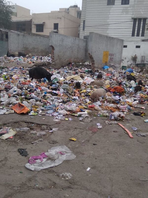 Delhi Residents Fear Health & Sanitation Crisis as Civic Body Workers Dump Garbage in COVID-Hit City Delhi Residents Fear Health & Sanitation Crisis as Civic Body Workers Dump Garbage in COVID-Hit City - Sputnik International