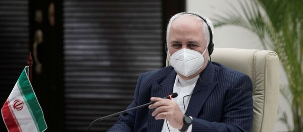 Iranian Foreign Minister Mohammad Javad Zarif speaks to his Cuban counterpart Bruno Rodriguez (not pictured) during an official visit in Havana, Cuba, November 6, 2020.  - Sputnik International