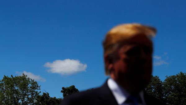 US President Donald Trump talks to reporters as he departs the White House to travel to Louisiana, from Washington, 14 May 2019. - Sputnik International