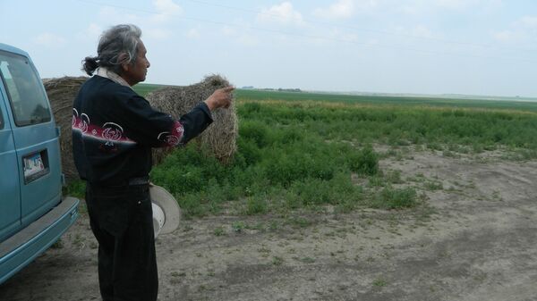 A Native American campaigner and war veteran points to the route of the Keystone XL oil pipeline - Sputnik International