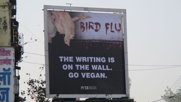 PETA Billboards Promoting Vegetarian Diet Outside Dadar Station in Mumbai, India  - Sputnik International