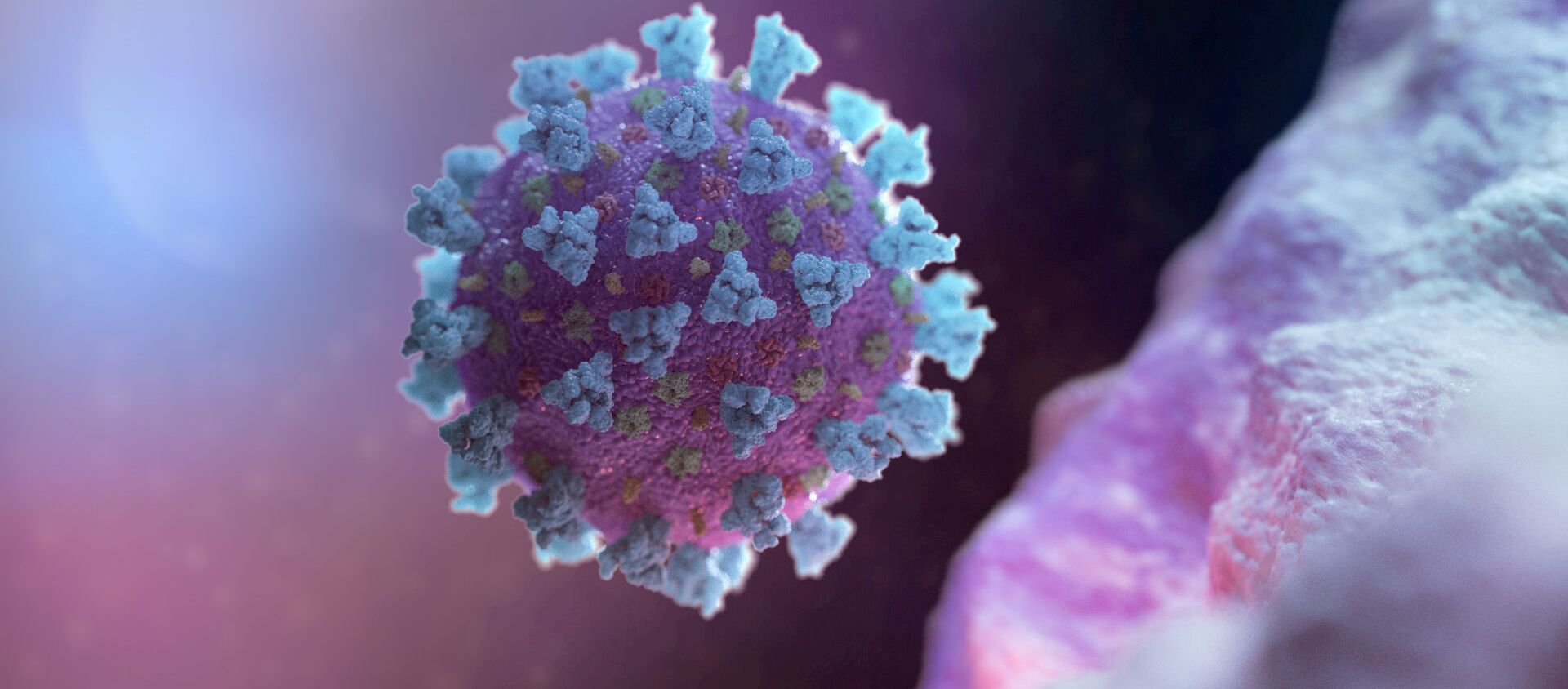 FILE PHOTO: A computer image created by Nexu Science Communication together with Trinity College in Dublin, shows a model structurally representative of a betacoronavirus which is the type of virus linked to COVID-19, better known as the coronavirus linked to the Wuhan outbreak, shared with Reuters on February 18, 2020 - Sputnik International, 1920, 09.02.2021