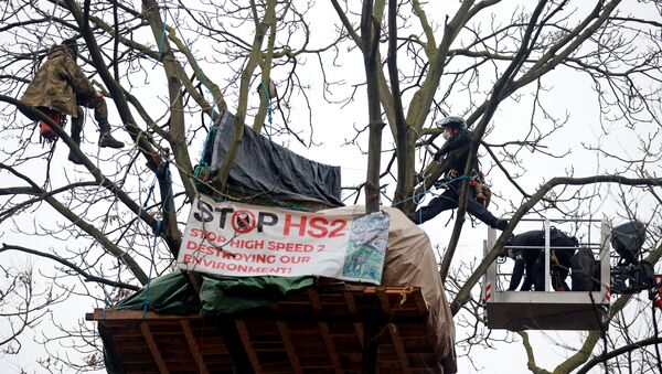 Enforcement agents use a cherry picker to reach an Extinction Rebellion activist who demonstrates on a tree as others occupy tunnels under Euston Square Gardens, to protest against the HS2 high-speed railway in London, Britain, January 27, 2021 - Sputnik International