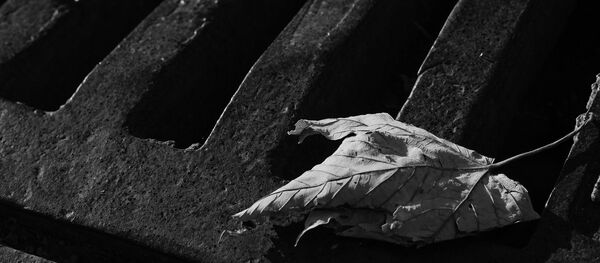 Sewerage  - Sputnik International