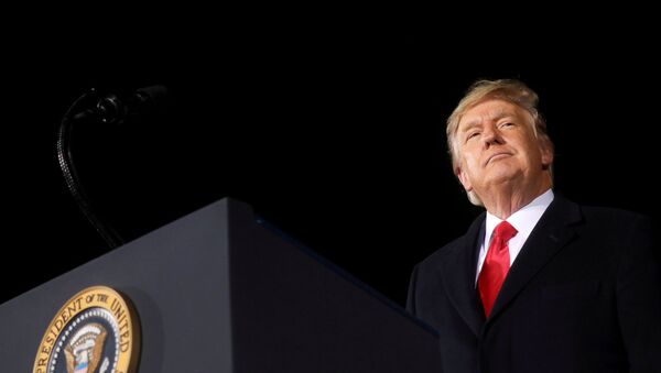FILE PHOTO: President Trump holds campaign rally in Dalton, Georgia - Sputnik International