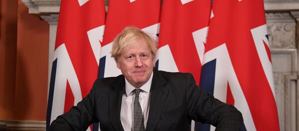 Britain's Prime Minister Boris Johnson reacts after signing the Brexit trade deal with the EU Britain's Prime Minister Boris Johnson reacts after signing the Brexit trade deal with the EU - Sputnik International