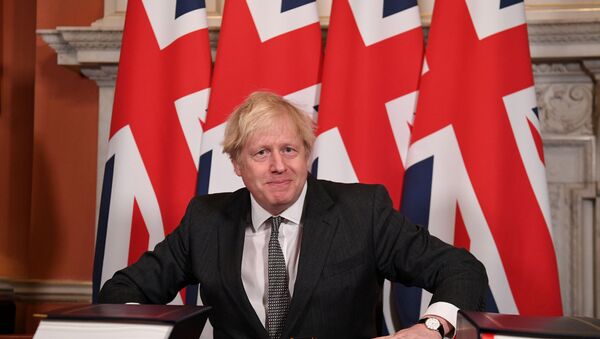 Britain's Prime Minister Boris Johnson reacts after signing the Brexit trade deal with the EU - Sputnik International