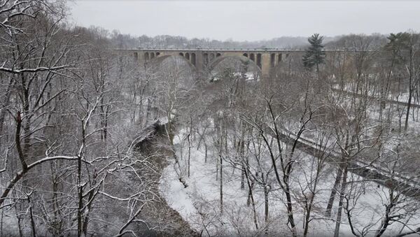 Image of the Taft Bridge in Washington, DC, captures snow-covered greenery in Rock Creek Park as a massive snowstorm envelops much of the US East Coast. - Sputnik International